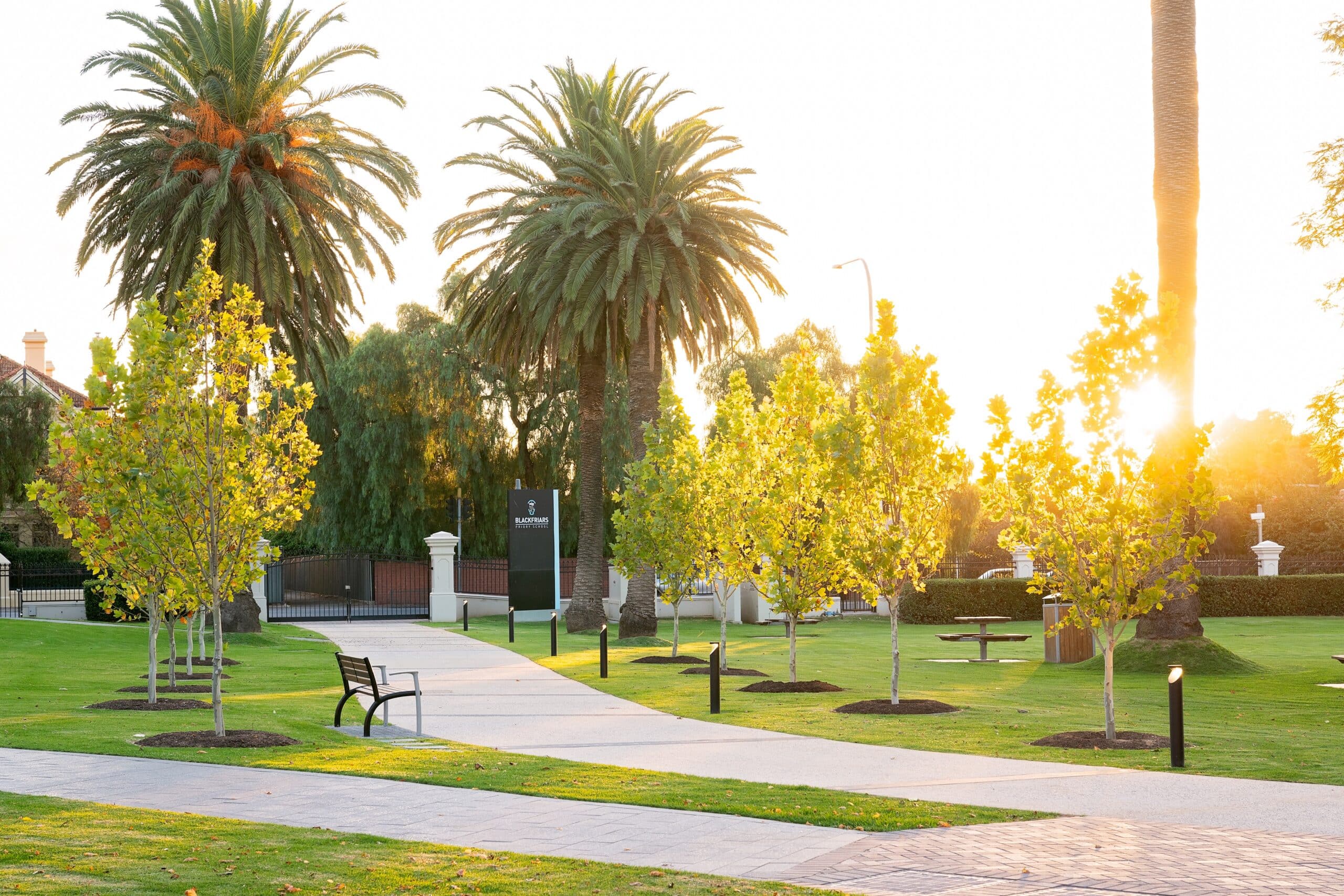Greenfriars celebrates first anniversary on World Environment Day