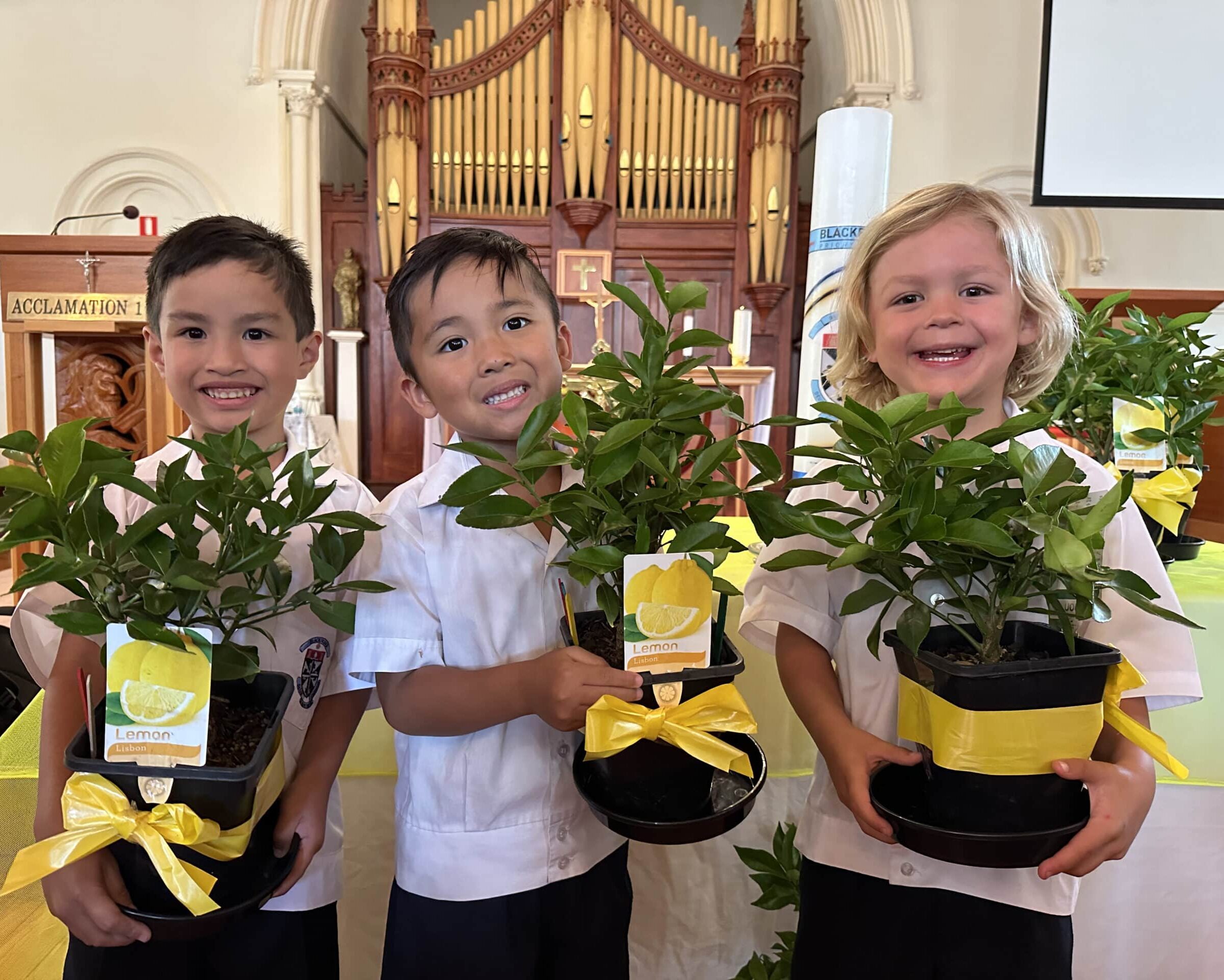 Receptions receive lemon trees in Rite of Welcome