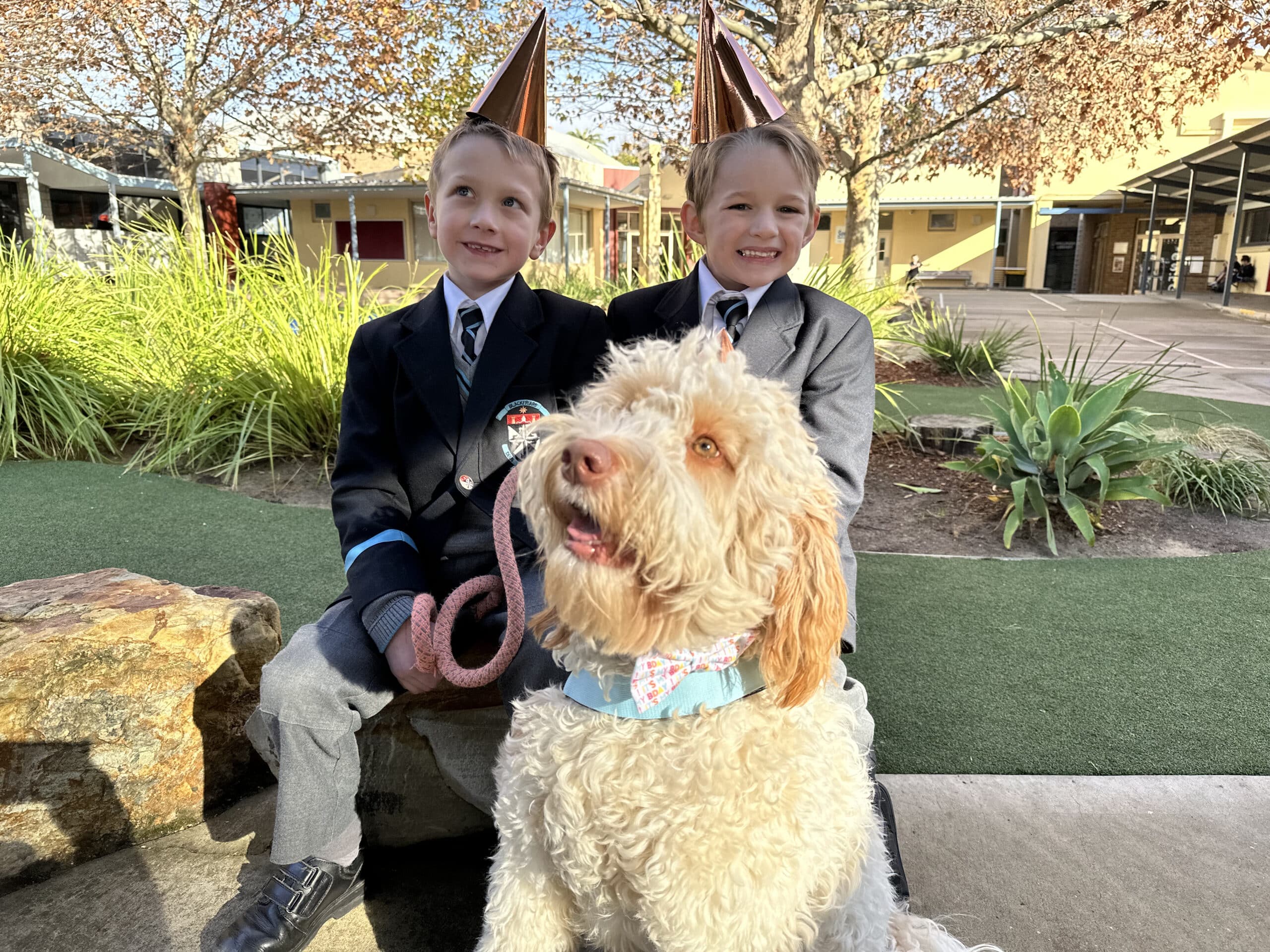 A pawsome celebration: Albi turns one