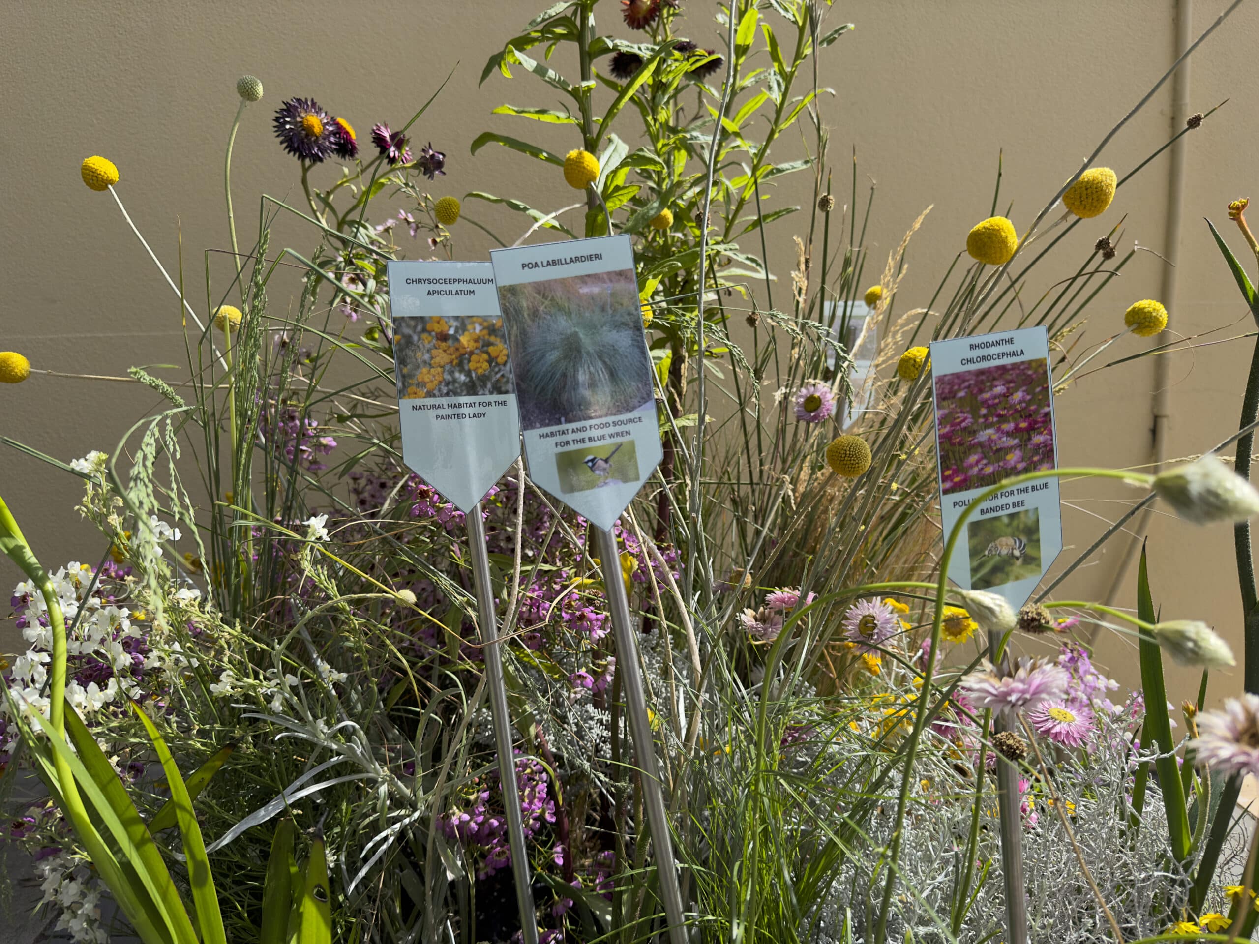 How does your garden grow: Student project making a difference