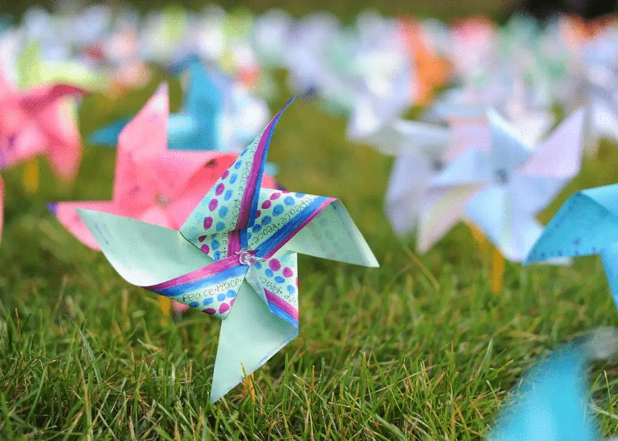 Peace in focus for Harmony Day celebrations