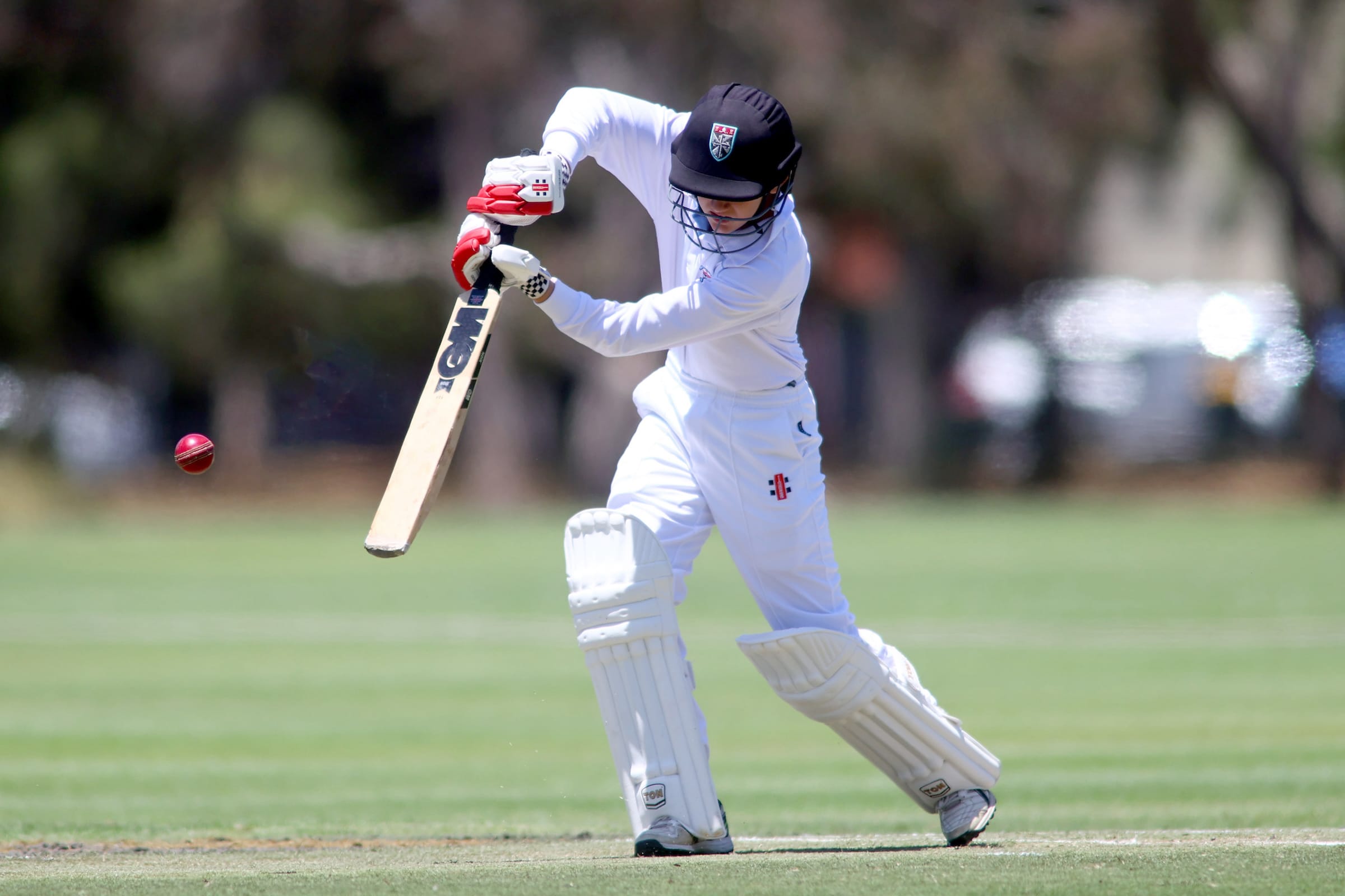 Blackfriars Old Scholars Cricket Club joins Adelaide Turf Cricket Association