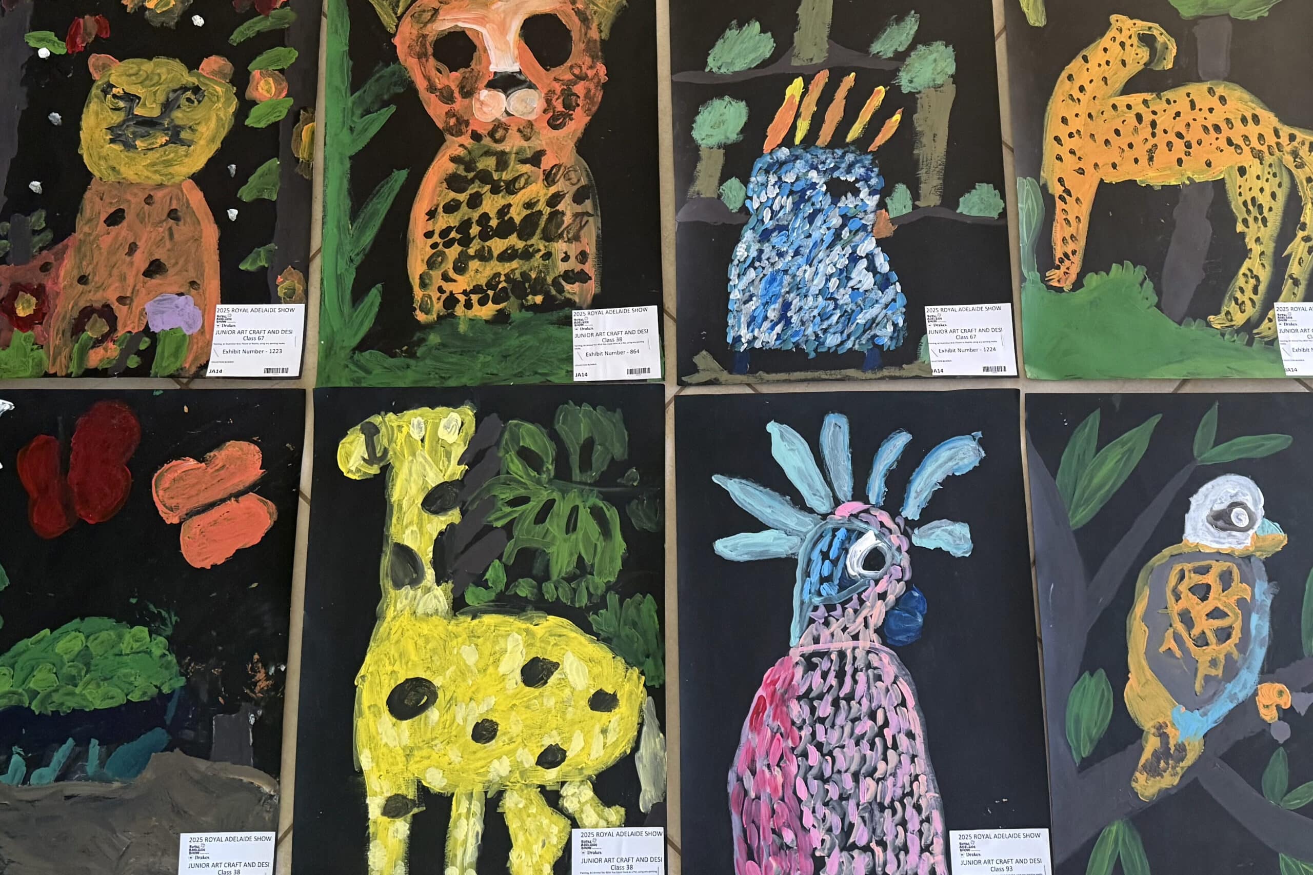 Students’ artwork in Royal Adelaide Show competition